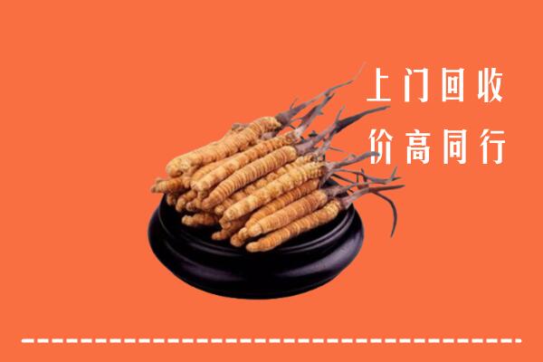 高价求购：淇滨区回收散虫草
