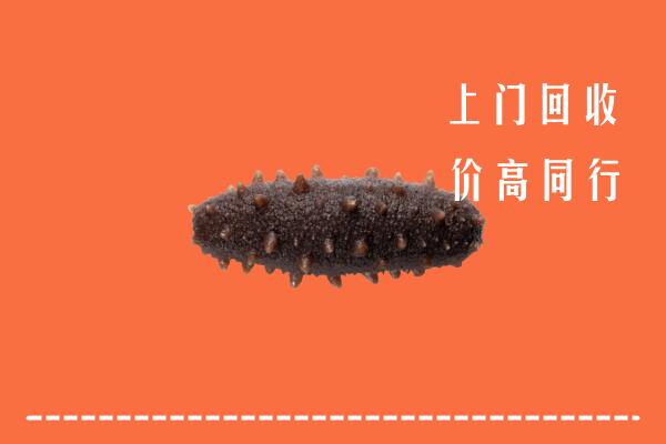 高价求购：淇滨区回收海参