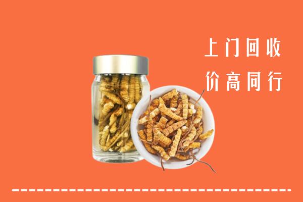 淇滨区回收冬虫夏草
